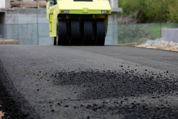 Best Driveway Pavers Near Me  in Balch Springs, TX