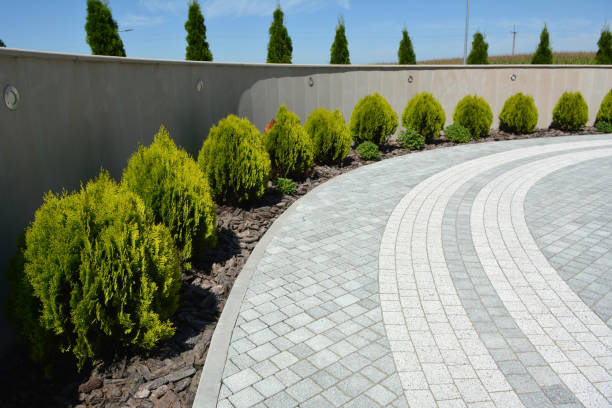 Best Driveway Repair Near Me  in Balch Springs, TX